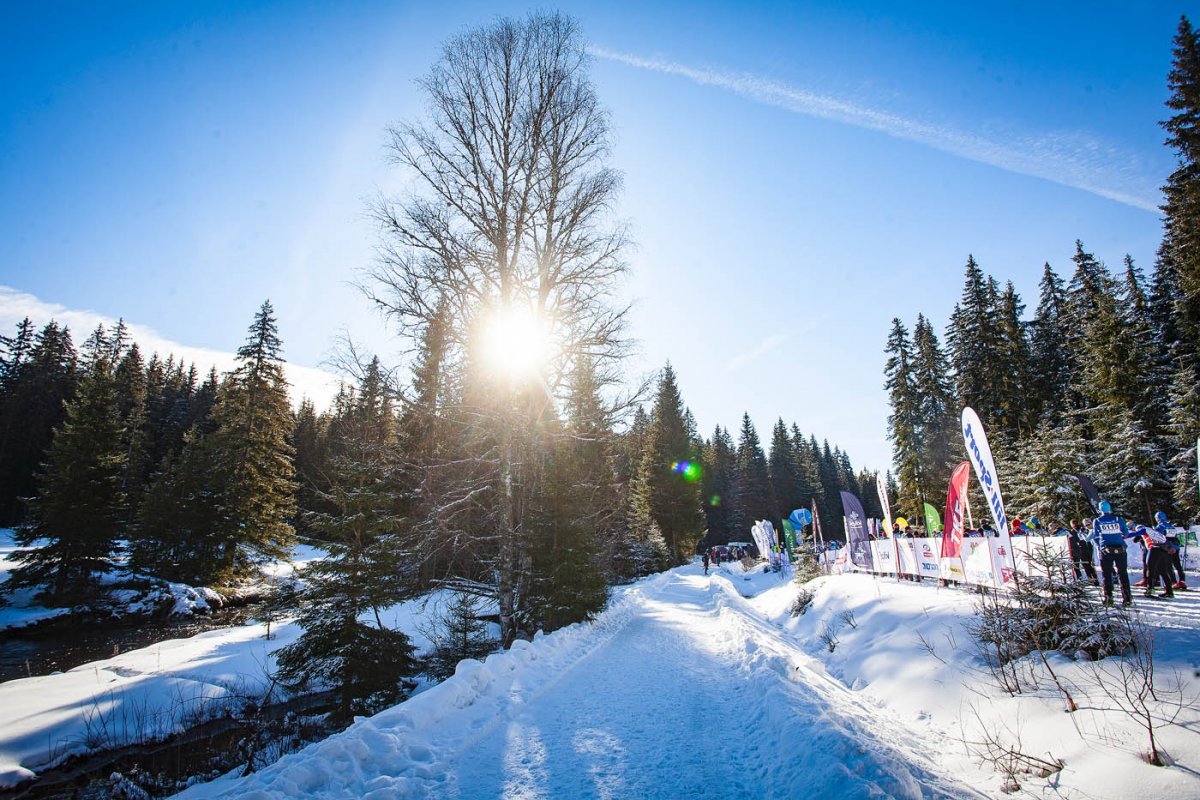Aktuální informace k Šumavskému skimaratonu TV NOVA