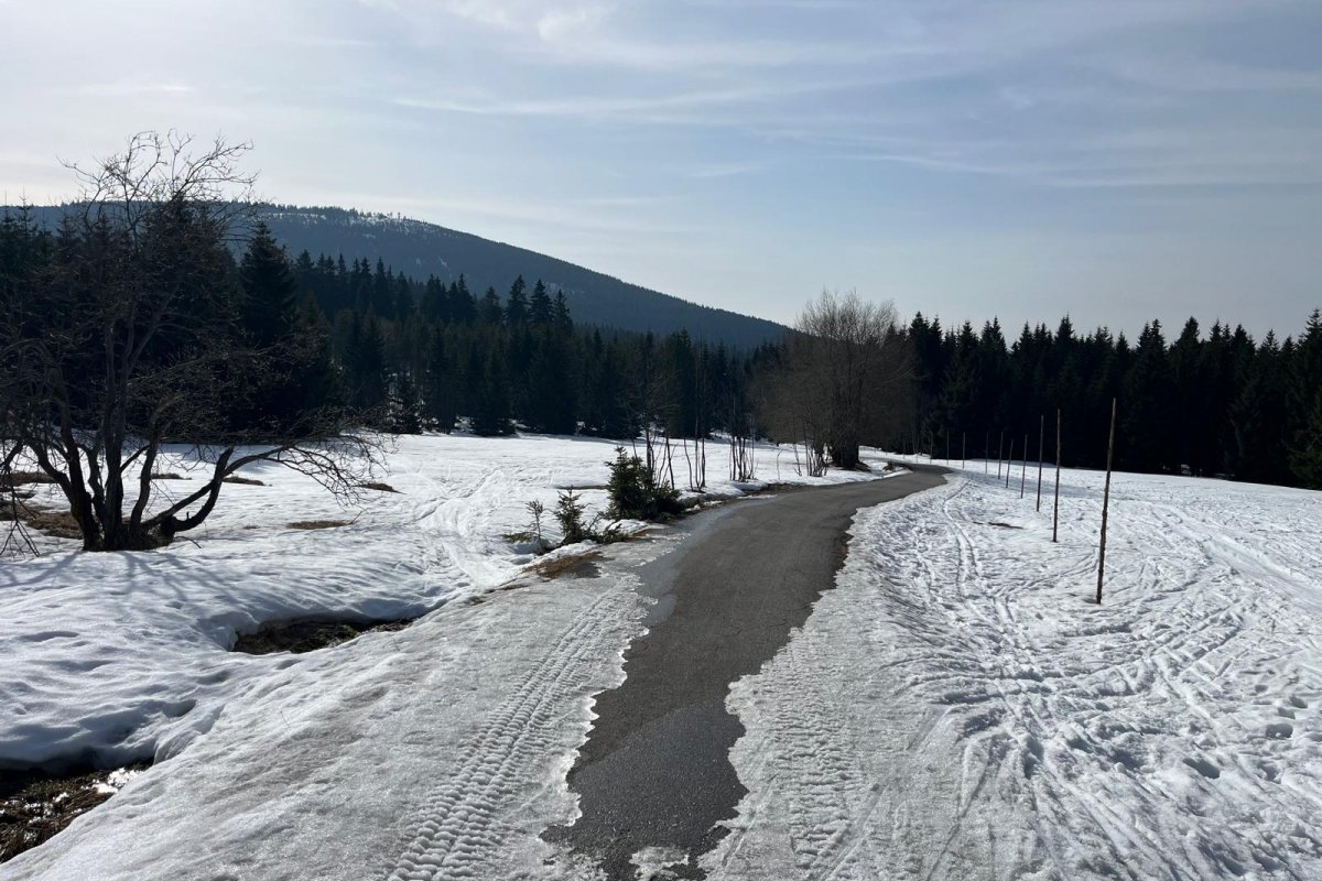 Krkonošská 70 letos nebude