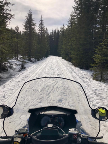 38. ročník tradičního a velice oblíbeného Šumavského skimaratonu TV NOVA bude!