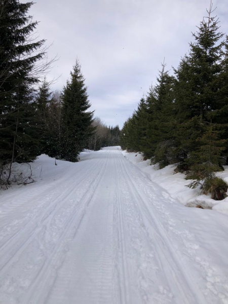 38. ročník tradičního a velice oblíbeného Šumavského skimaratonu TV NOVA bude!